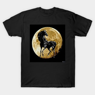 Horse:  Black Beauty and a Harvest Moon T-Shirt